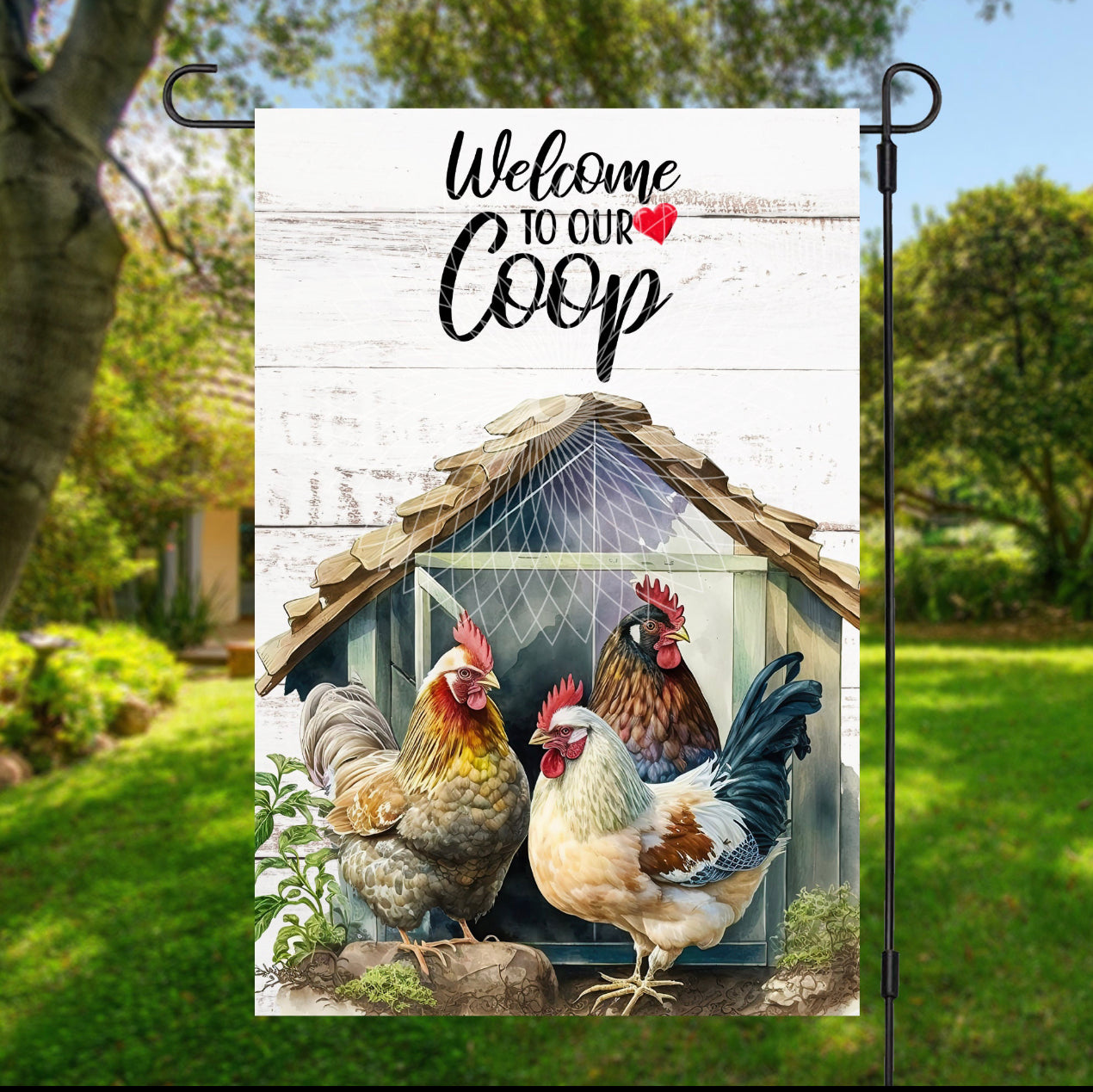 Welcome To Our Coop